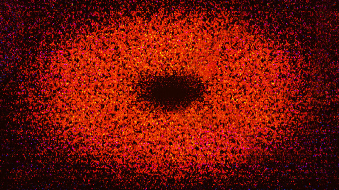 SungYong Hong. Courtesy of Erarta Museum