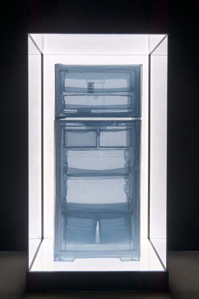 Do Ho Suh, Specimen Series: Refrigerator, Apartment A, 348 West 22nd Street, New York, NY 10011, USA, 212 x 112.8 x 108.7 cm, polyster fabric, stainless steel wire and display case with LED lighting, 2013