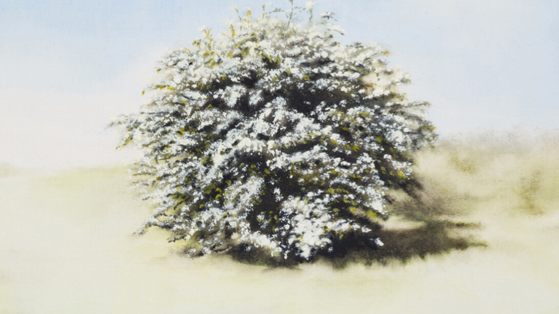 The Turning World. Courtesy of Charlie Smith London