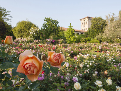 Natura e architettura si fondono con armonia