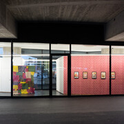 Ashfika Rahman, The typology of wounds, the mapping of healing, 2021. Installation view. VITRINE, Basel. Photographer: Marcel Scheible