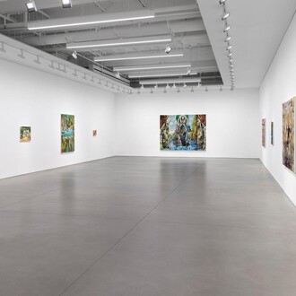 Maia Cruz Palileo, The world tangled in you, exhibition view. Courtesy of David Kordansky Gallery