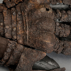 Medieval Massacre. Courtesy of Historiska museet