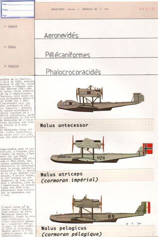 Jean-Yves Jouannais, Dornelius Wallus (extrait de « Histoire naturelle »), 2014, Technique mixte sur papier, 5 éléments ; chacun 42 x 29,7 cm