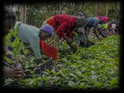 Familia de agricultores em Moçambique