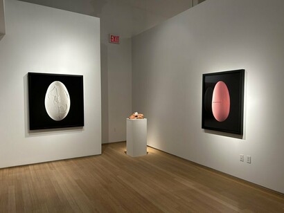 Nathalia Edenmont, Out of body, exhibition view. Courtesy of Nancy Hoffman Gallery