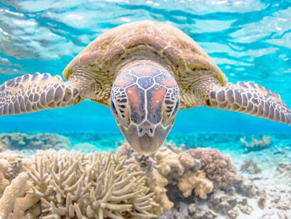 Gli effetti catastrofici del global warming