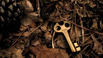 La ayuda oportuna nos conduce a un balance positivo