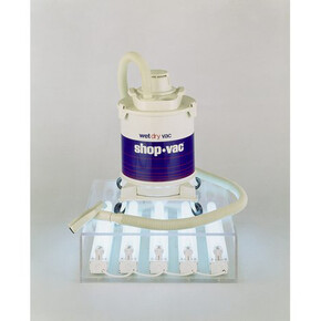 The Elephant in the Room. Courtesy of Hamburger Bahnhof