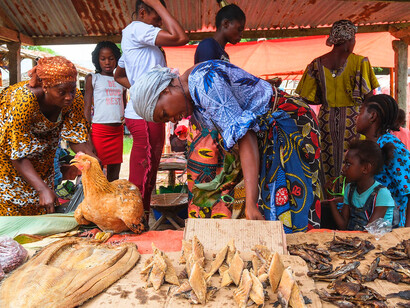 As the DRC pivots towards its own currency, the energy in the market reflects a community eager to embrace a new economic chapter and harness its agricultural potential