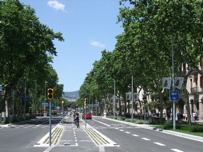Barcelona. Carril bici en el Passeig de Sant Joan.