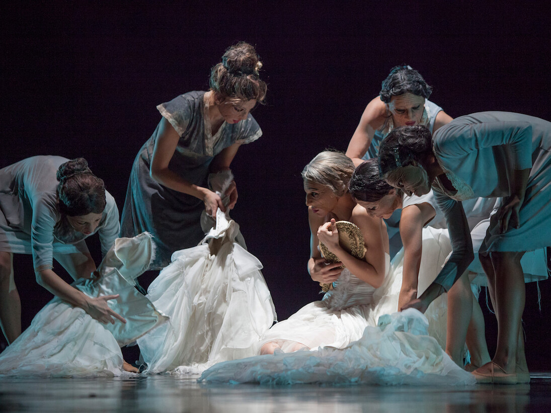Il lago dei cigni. Foto Matteo Carratoni