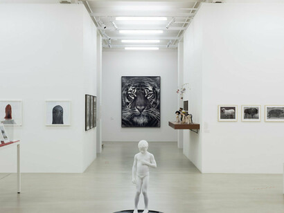 Animality, Exhibition view. Courtesy of Marian Goodman Gallery