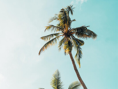 Gemelli, raddoppiate le attenzioni per la persona amata