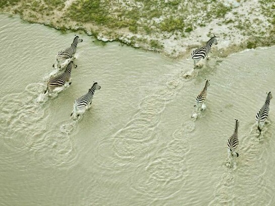 Zack Seckler, Kalahari Crossing 2009