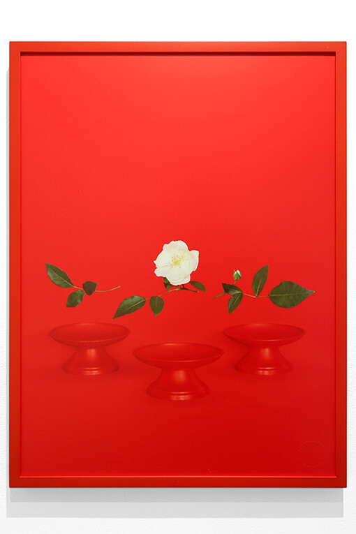 Sarah Charlesworth. Courtesy of Krakow Witkin Gallery