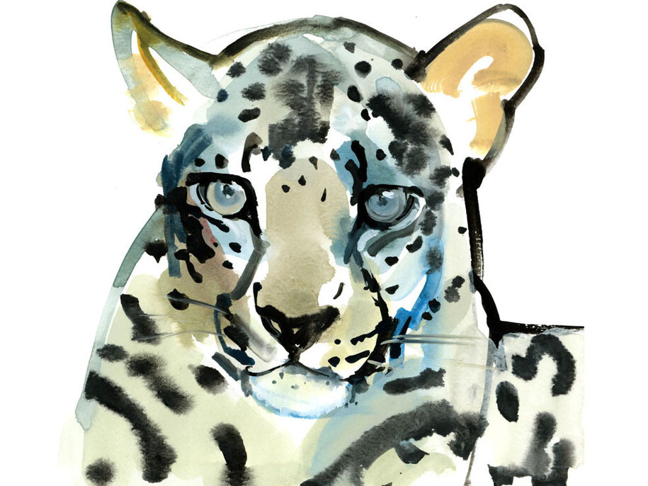 Mark Adlington, Arabian Leopard: Ochre, Watercolour, 10 x 10 ins, Unframed
