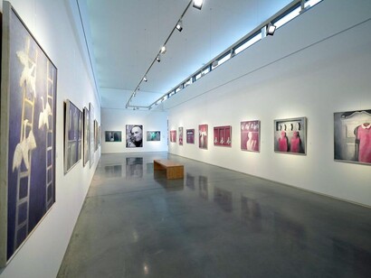 Vladimír Komárek. Courtesy of Danubiana