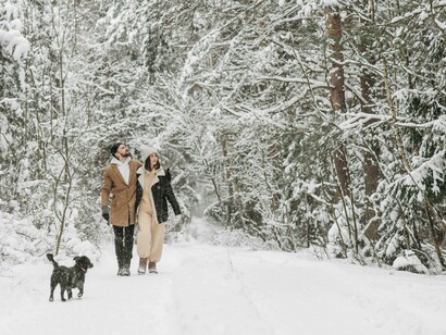 Pareja con su perro en un bosque encantado