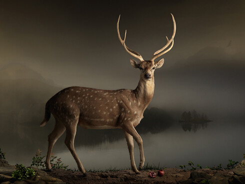 Joseph McGlennon, Skyestag 1