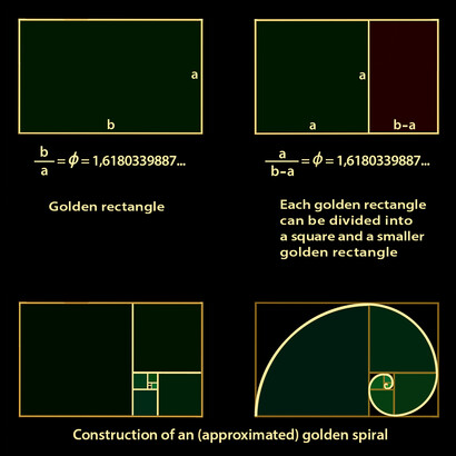 A golden rectangle (its sides a and b are in the golden ratio) has the unique property that the smaller rectangle, generated by cutting off a square from the original rectangle, is again a golden rectangle. Moreover, whether this procedure is repeated, connecting all the points dividing the sides of the rectangles in golden ratios, a spiral curve can be constructed by inscribing quarter circles into the “whirling squares”. It is a good approximation of a particular logarithmic spiral, called “golden spiral.” The golden spiral is a spiral that grows by a factor of Φ (the golden ratio) for every quarter turn.