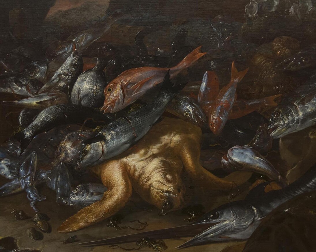 Giuseppe Recco, Natura morta con pesci. Courtesy of Museo di Capodimonte





 
 