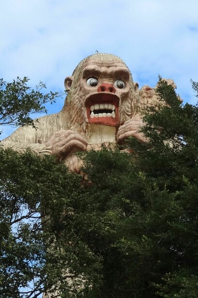 Finalmente, las tradiciones indígenas originarias siempre han respetado a estas entidades míticas como sagrados espíritus protectores del bosque
