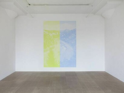 Katharina Fritsch, Postkarte (Franken) [2nd Postcard (Franken)], 2006, Oil-based ink and acrylic on plastic panel, 110 1/4 x 73 5/8 inches (280 x 187 cm). Courtesy of the artist and Greene Naftali, New York