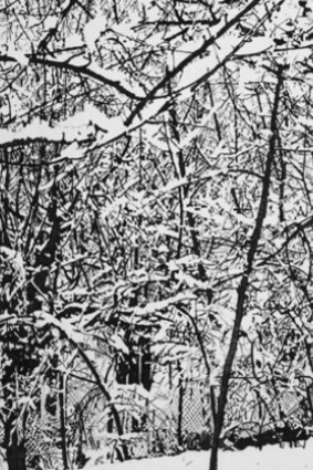 Fahrad Moshiri. Courtesy of Perrotin