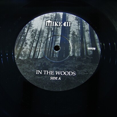 Cover In The Woods