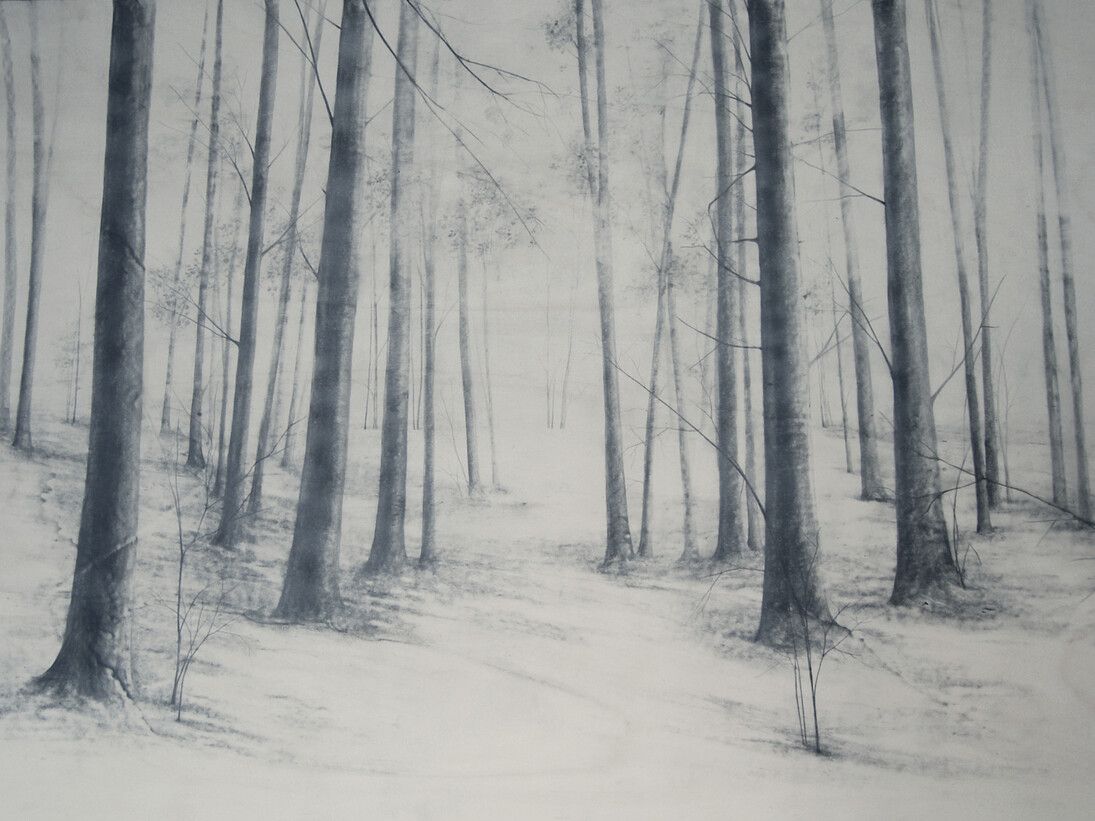 VICARI MARIKA, Tempo degli alberi, 2015, Grafite su tavola, 120x180 cm 