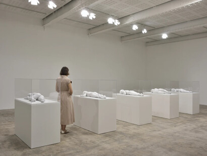 Andrea Fraser, Untitled (video, audio, objects), exhibition view. Courtesy of Marian Goodman Gallery