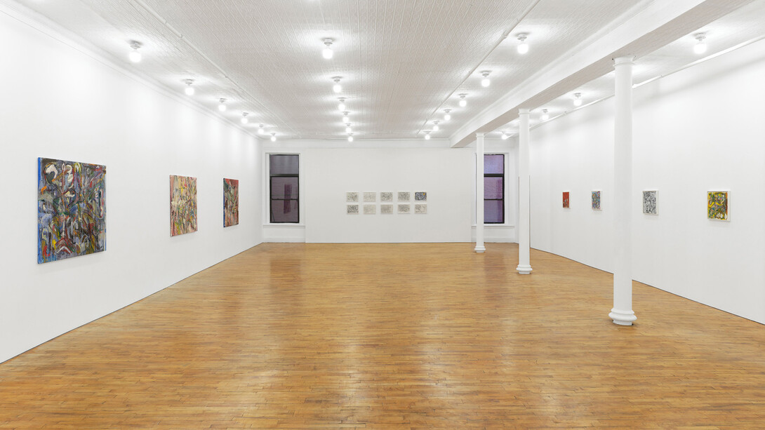 Lu Ferreira, Estranhas luzes no bosque, exhibition view. Courtesy of Tara Downs