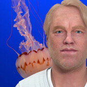 Being There. Courtesy of Louisiana Museum of Modern Art