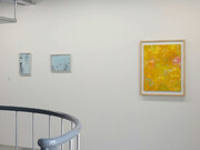 Light in July. Courtesy of Kamakura