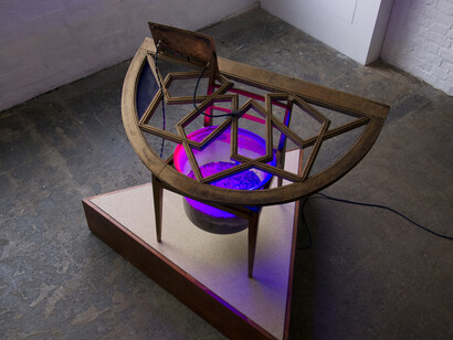 Haroon Mirza, Lamp for Williamsii, 2016. Courtesy hrm199 and Lisson Gallery, London