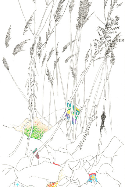 Lise Duclaux
common reed and others with garbage (alien, invasive, cosmopolitan), 2018 ink and paint on paper
29.5 x 14.5 cm
Unique artwork