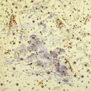 Ryotaro Endo, Our landscape / There are reasons but no meaning / …　2012, 194 × 194 cm inkjet print and oil on canvas