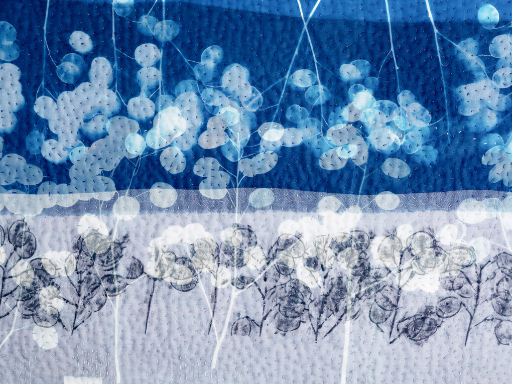 Detail of Honesty Skyline by Pauline Burbidge. Photo Phil Dickson, 2015