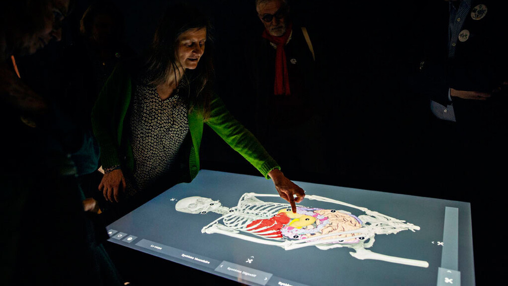 Microbiote. Courtesy of Cité des Sciences et de l'Industrie