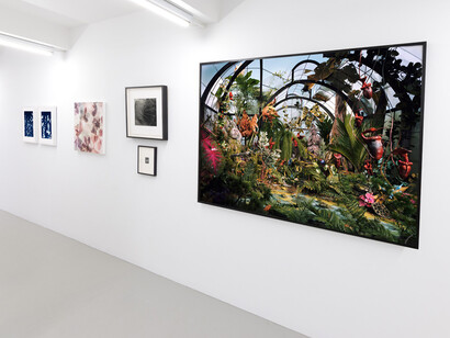 Various artists, Nature represented and reproduced, exhibition view. Courtesy of CLAMP