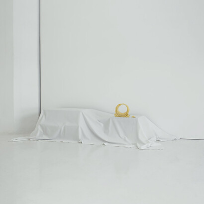 Valérian Goalec, Trophy of my absence, 2019