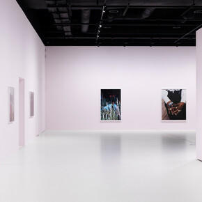 Tyler Mitchell, Wish this was real, exhibition view. Courtesy of Photo Elysée