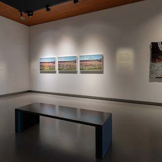 Various artists, Beyond the horizon, exhibition view. Courtesy of the Fries Museum