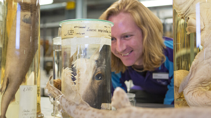 Behind-the-Scenes Tour: Spirit Collection. Courtesy of Natural History Museum