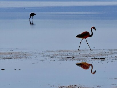 Salar de Atacama