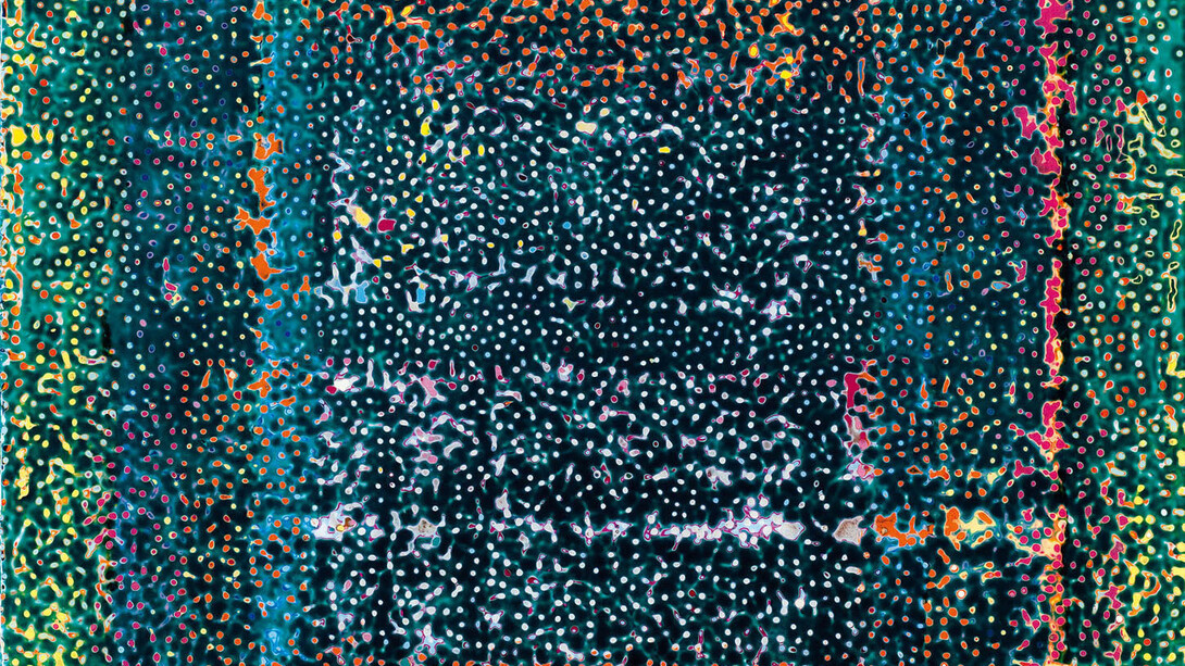 Roberto Pan, 28 - ME 7,937 VE, dettaglio, 2009, resina, tecnica mista, 205 x 156,5 cm