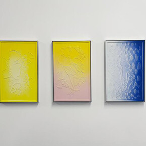 Hannah Sophie Dunkelberg, Pasticci, exhibition view. Courtesy of Edition VFO