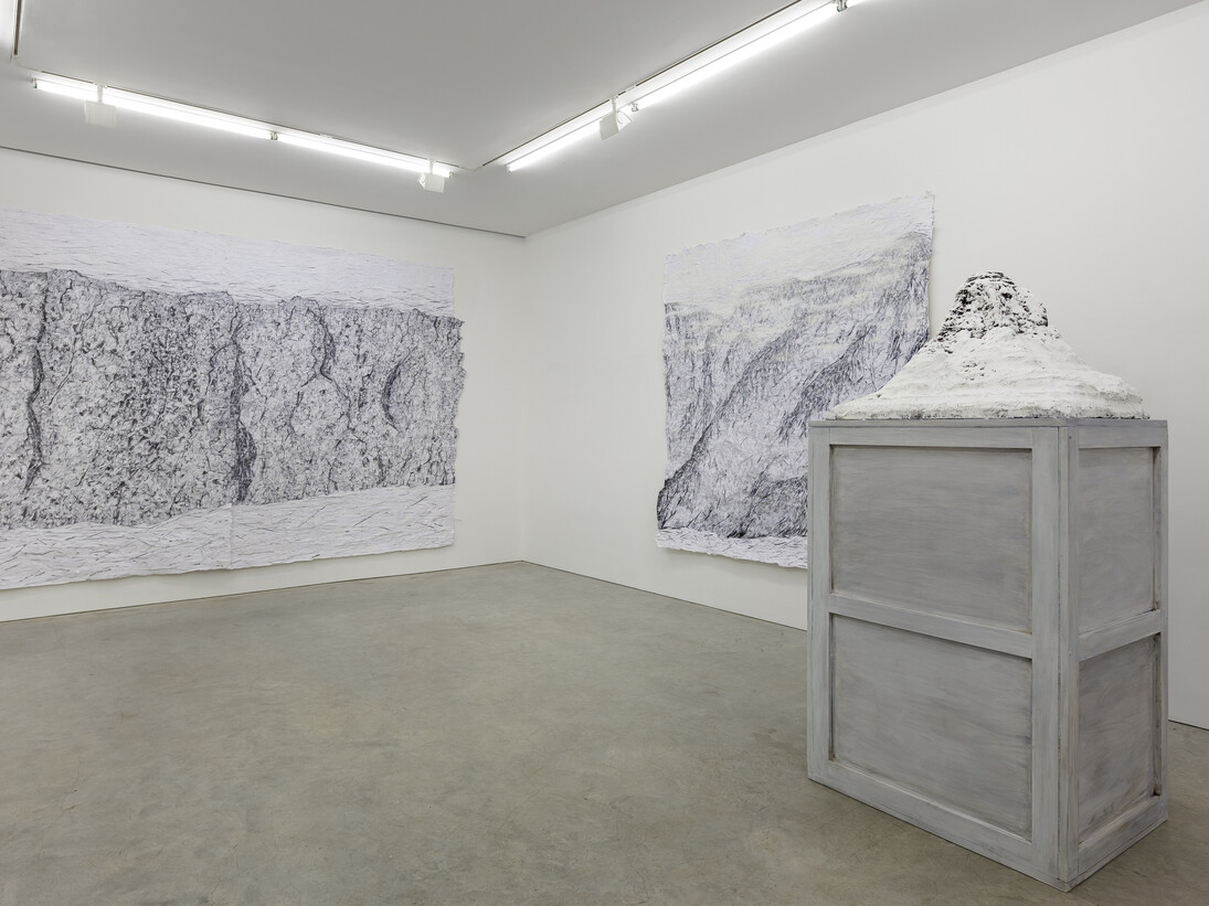 Blane De St. Croix, Installation view