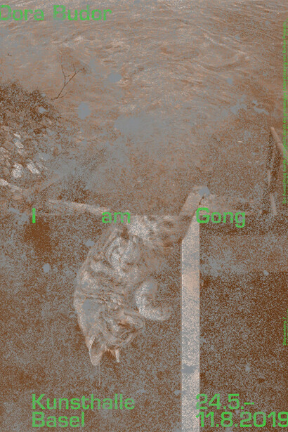 Dora Budor. Courtesy of Kunsthalle Basel